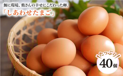 
                  【こだわりの卵】平飼い しあわせたまご 40個 赤玉 卵 タマゴ たまご 鶏卵 赤たまご＜松本養鶏場＞ [CCD021] 卵 濃厚 平飼い たまご 卵 濃厚 卵料理 新鮮 卵 贈答 たまご tamago タマゴ 鶏卵 たまご 卵かけご飯 卵焼き たまご 料理 長崎県 西海市
                