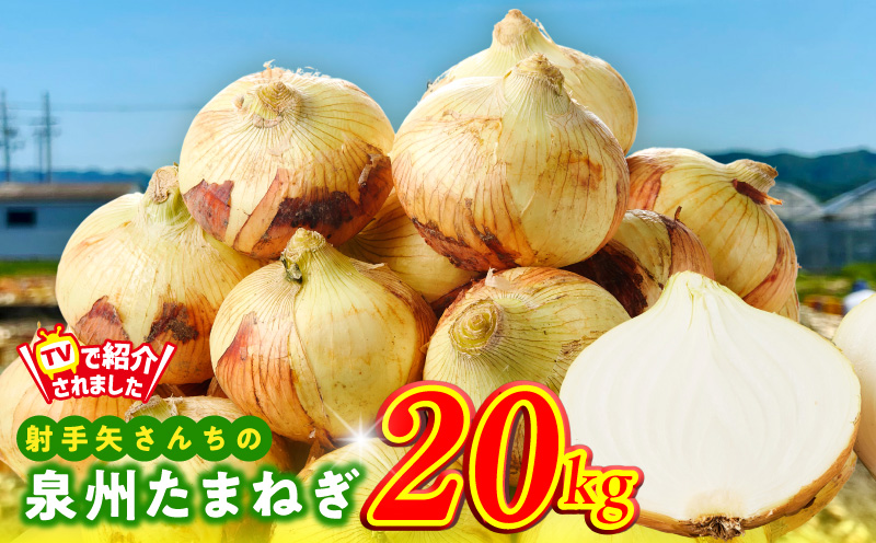 【先行予約】泉州たまねぎ 20kg 玉ねぎ 射手矢農園【タマネギ 玉葱 甘い 野菜 国産 オニオン スライス サラダ カレー シチュー バーベキュー BBQ 肉じゃが 大阪 泉佐野 大阪府 泉佐野市】