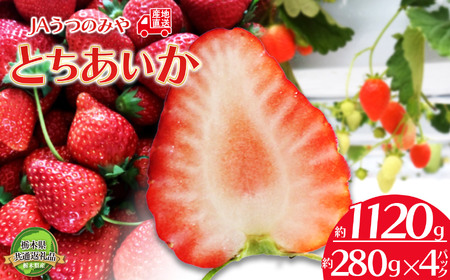 【先行予約】栃木県共通返礼品  とちあいか 280g×4パック 2026年1月～ | 栃木県 下野市