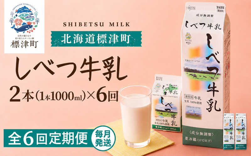 【全6回定期便】【毎月2本】 しべつ牛乳 1L × 2本 北海道産 パックミルク 定期便 牛乳 乳製品 生乳 生乳100% 国産 ミルク みるく ぎゅうにゅう 乳 標津 しべつ 成分無調整 無調整 1l 1リットル 健康 朝食 飲料 パック 3万円 台 おすそ分け 給食 グラタン パスタ 北海道 標津町