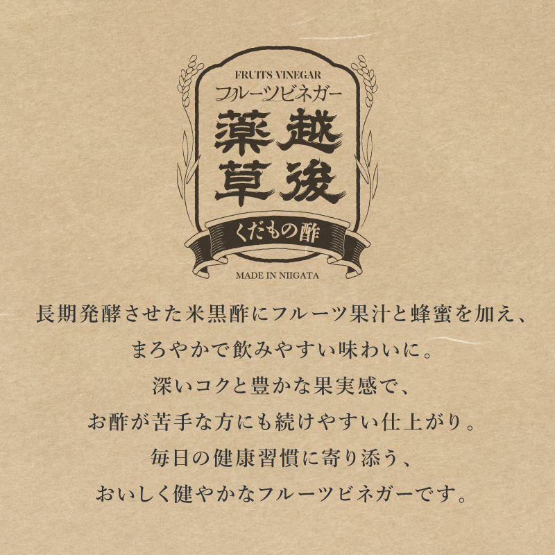 りんご酢 フルーツビネガー 300ml 6本 飲むお酢 果実酢 ビネガー ドリンク 調味料 酢 瓶 国産 割り材 サワー ギフト プレゼント 送料無料 新潟 新潟県産 にいがた 上越 上越産