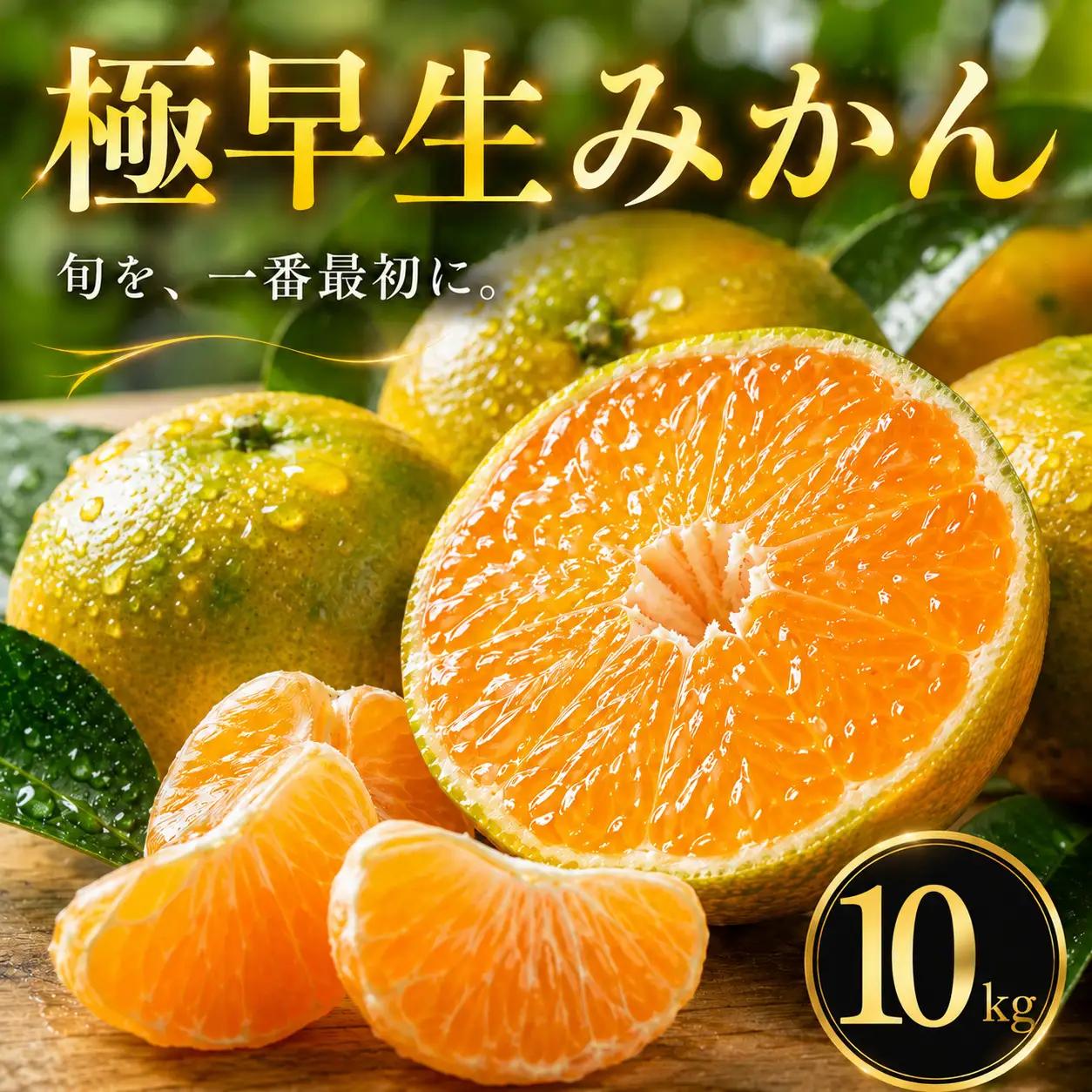 愛媛 極早生 みかん 家庭用 10kg 【2026年10月上旬頃から順次発送】 | 温州みかん ミカン ごくわせ mikan みかん 蜜柑 訳ありフルーツ 柑橘 果物 おすすめ お勧め お取り寄せ ギフト 愛媛県 松山市 【MKN071】
