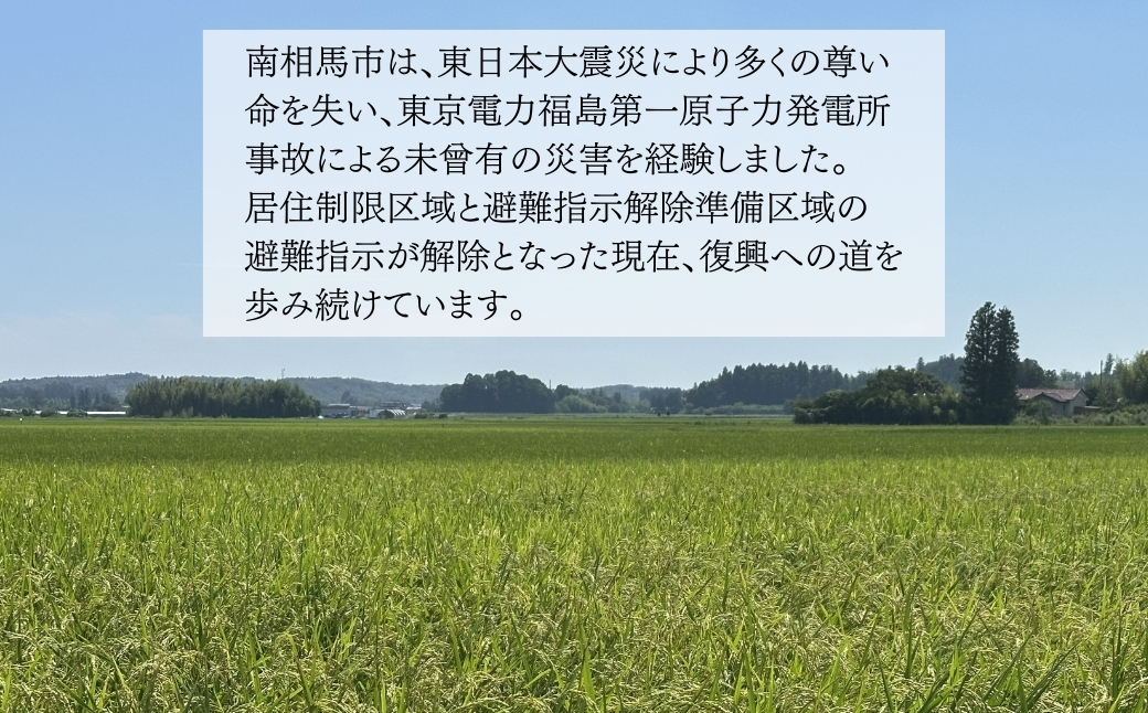 白米 5kg 天のつぶ 令和7年産 | 精米コメ ごはん ブランド米 大粒 福島 福島県産 南相馬 ふくしま未来農協 JA 【2200101】