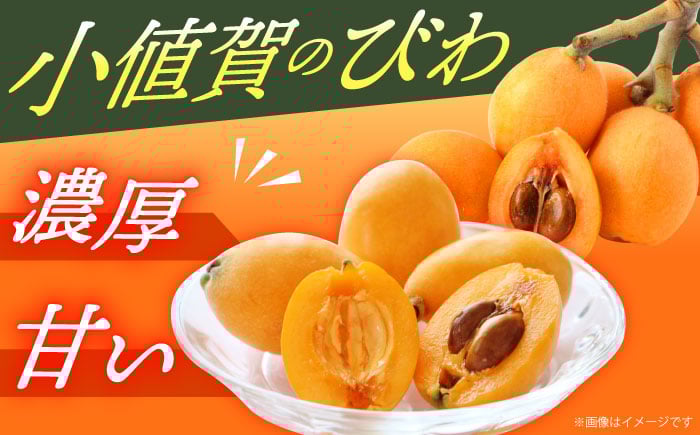 びわ 9粒 Lサイズ