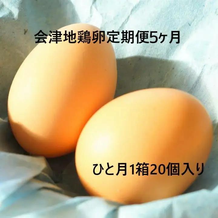 会津地鶏卵定期便（1箱20個）5ヶ月間　【07208-0171】