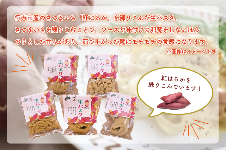 CJ-5 【6ヶ月定期便】 紅はるか使用 生パスタ5種（計10食分）