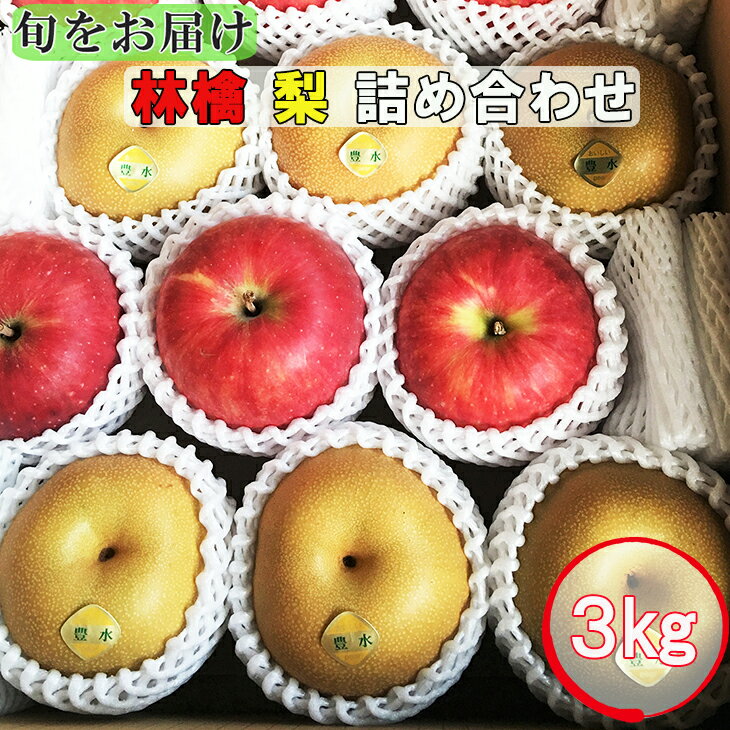 【ふるさと納税】《先行予約》【旬をお届け】林檎・梨詰め合わせ！花巻産約3kg