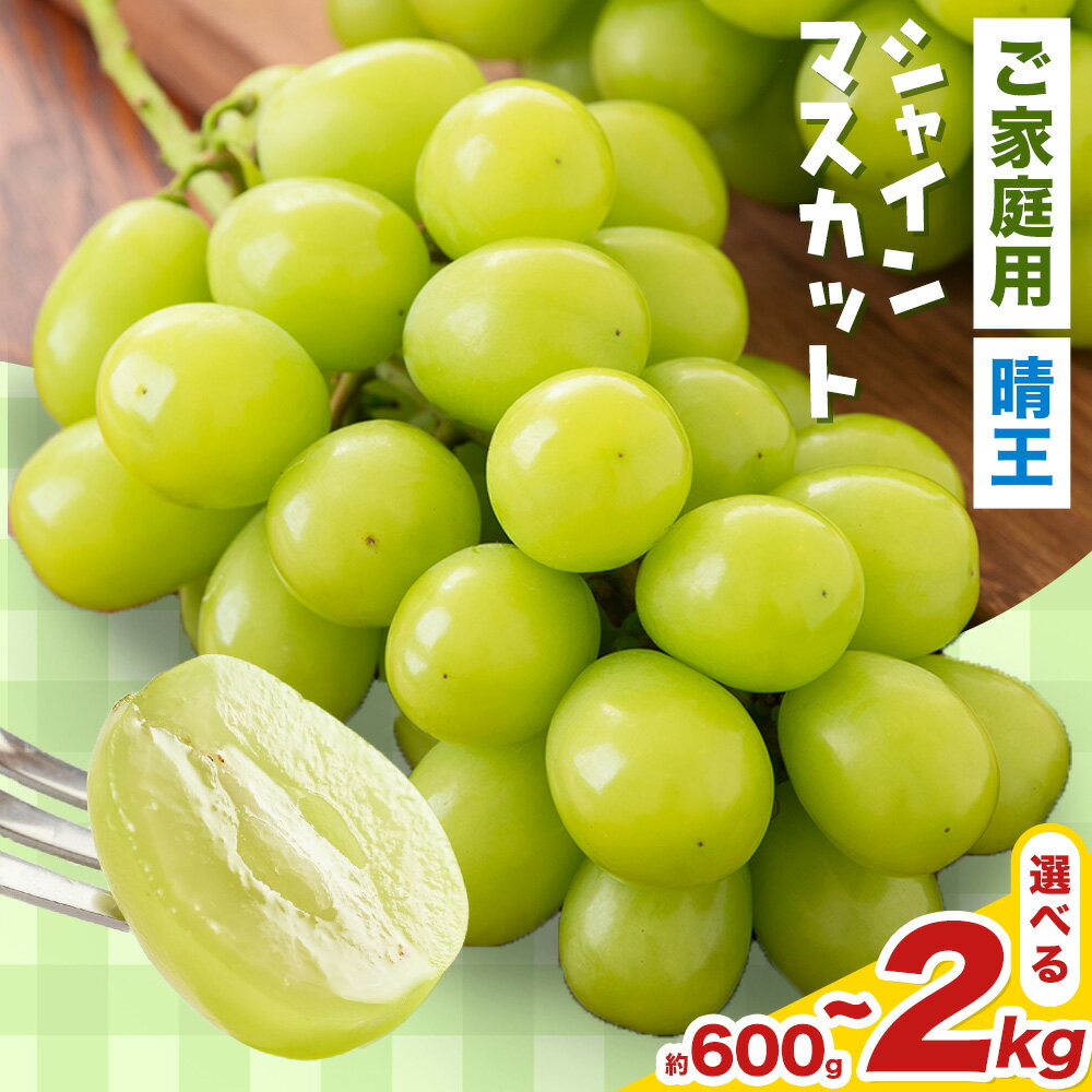 【ふるさと納税】 岡山県産 ご家庭用シャインマスカット 晴王 選べる 計600g～2kg 株式会社はちや《2026年8月下旬-11月下旬頃出荷》岡山県 浅口市 ぶどう 葡萄 フルーツ ギフト 果物 デザート 国産 送料無料【配送不可地域あり】