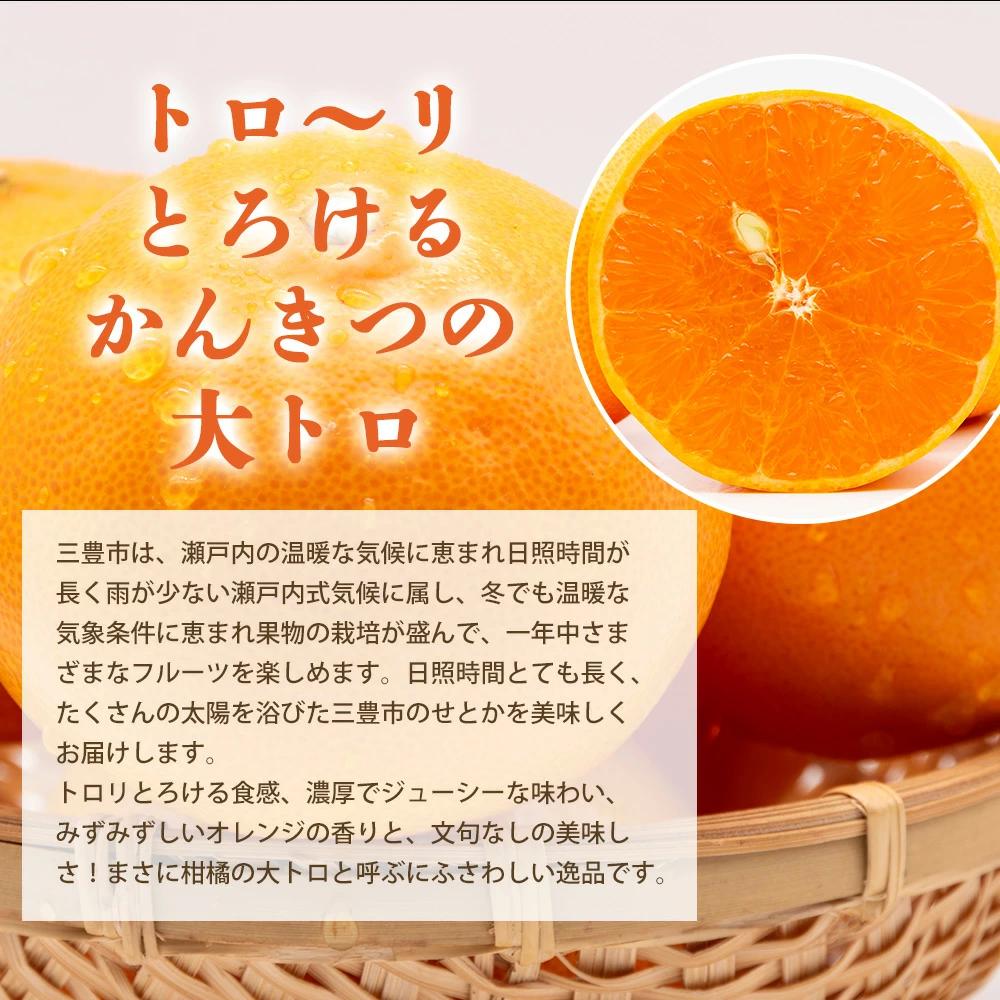 【ふるさと納税】【配送不可地域：北海道・沖縄県・離島】せとか　三豊市産　約5ｋｇ 秋 旬