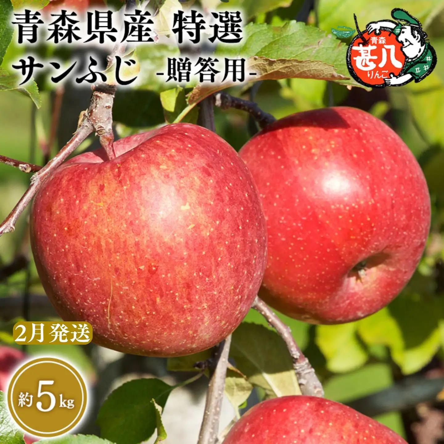 りんご 特選 サンふじ5kg りんご