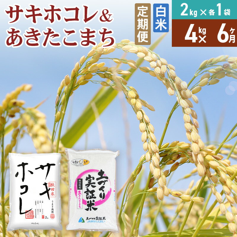 【ふるさと納税】《定期便6ヶ月》【白米】令和7年産 サキホコレ2kg・土づくり実証米あきたこまち2kg (計4kg) ×6回 計24kg 精米 特A評価米 秋田県産