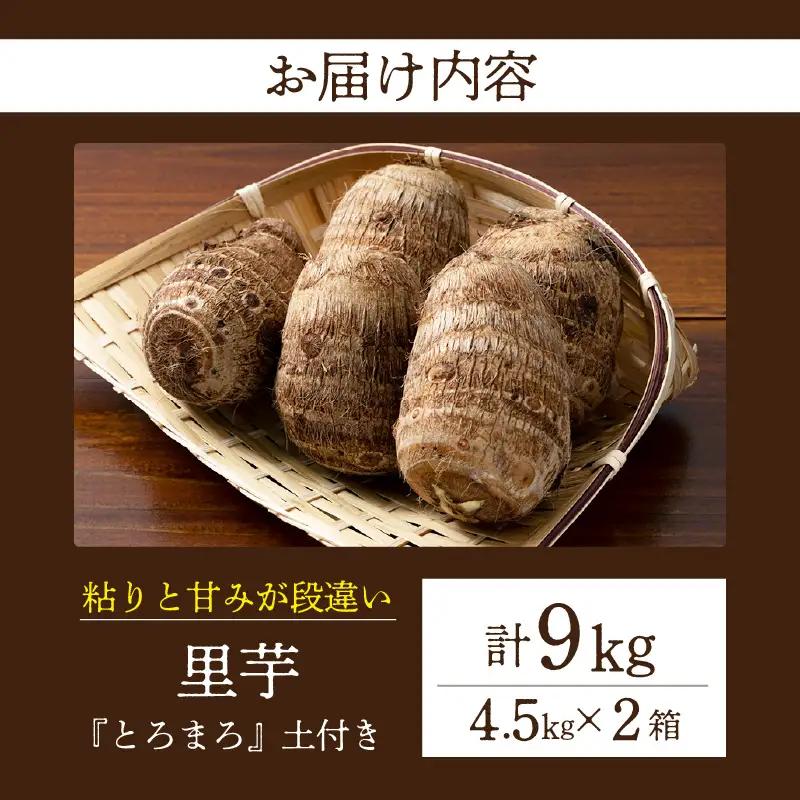 【粘りと甘みが段違い】里芋『とろまろ』土付き 4.5kg 2箱・H121