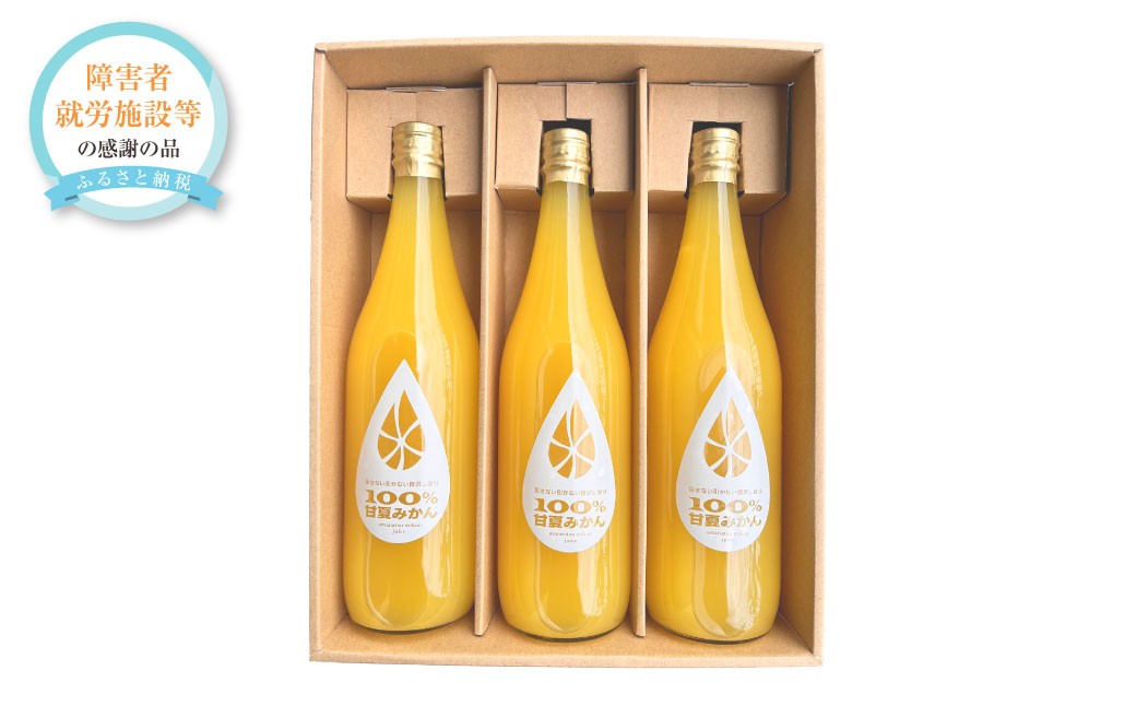 
            100％甘夏みかんジュース 3本セット （720ml×3本） 甘夏 あまなつ みかん ミカン 蜜柑 ジュース 飲料 ドリンク 果汁飲料 果汁100% ギフト プレゼント おすすめ 国産 常温
          