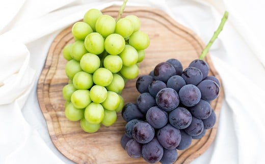 【2回定期便】 ピオーネ or オーロラブラック  3～5房 （2kg以上） ＆ シャインマスカット 3～5房 （2kg以上） 【2026年7月下旬から順次発送予定】 ／ くだもの 果物 果実 フルーツ ぶどう ブドウ 葡萄 マスカット 冷蔵 岡山県 美咲町