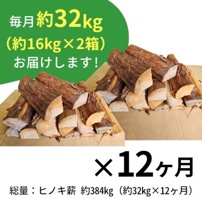 ふるさと納税 東白川村 ヒノキ薪 定期便 全12回 中〜大割 約32kg 約16kg×2箱 計384kg ヒノキ 薪 |  | 01