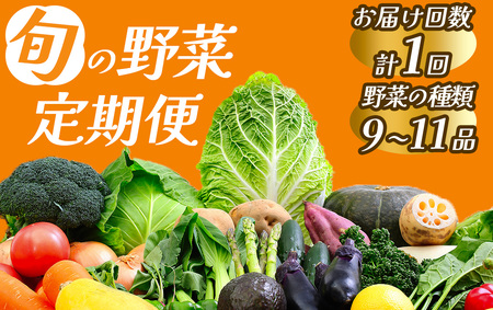 旬の野菜セット　【 朝どれ 野菜 やさい 新鮮 】