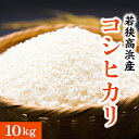 【ふるさと納税】若狭高浜産 コシヒカリ 精米 10kg エコファーマー認定農家栽培[A-010001] | お米 コシヒカリ 10kg 精米 白米 ご飯 ごはん 単一原料米 エコファーマー 食品 美味しい 送料無料