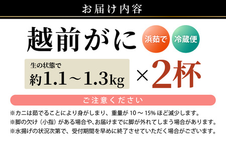 【先行予約】≪浜茹で≫ 天然 越前がに 特大 (茹で前1.1～1.3kg) × 2杯 冷蔵ですので、届いてすぐお召し上がりいただけます！ タグ付 福井を代表する冬の味覚！【2025年11月中旬以降順次
