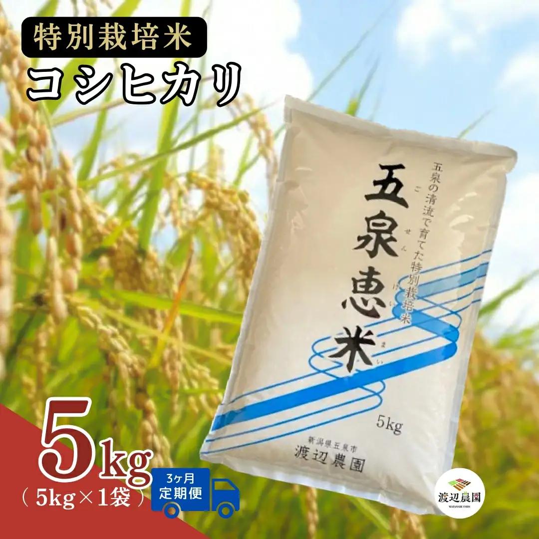 【定期便3回】令和8年産 新米 コシヒカリ 5kg×3回(計15kg) 特別栽培米 先行予約 | 新潟県産 白米 米 五泉市