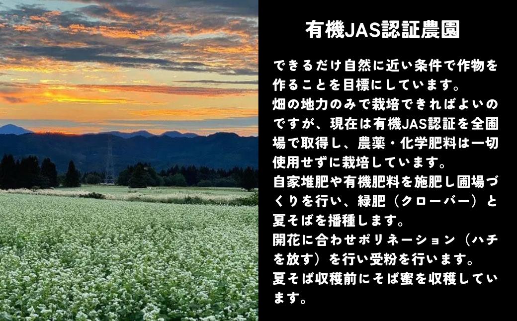 【数量限定・夏そばの時期のみの特別な味わい】食べるサプリメントそば蜜 500g×1本 そばみつ イチカラ畑 【0021-0006-01】