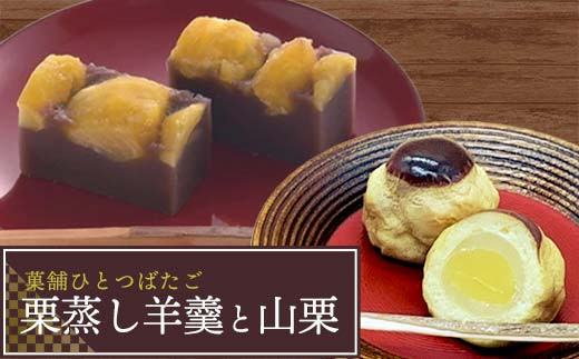 「栗」を味わえる和菓子セット 菓舗ひとつばたご特製 栗蒸し羊羹・栗饅頭食べ比べセット お茶菓子 お茶請け 和菓子 菓子 デザート スイーツ セット 詰め合わせ 詰合せ 食品 F4N-1789