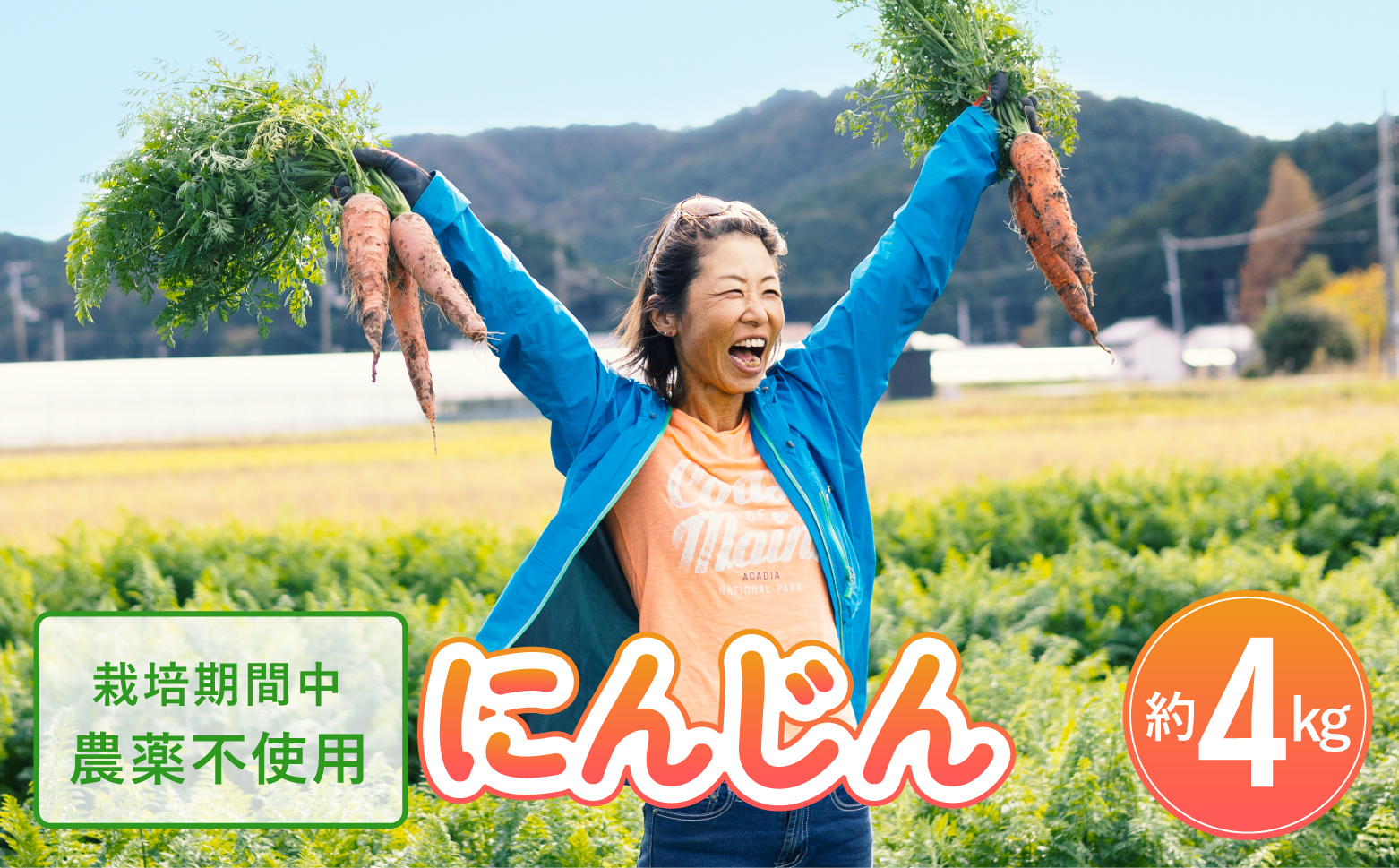 日本を平和にする人参　Peace&Carrots　約４kgセット　