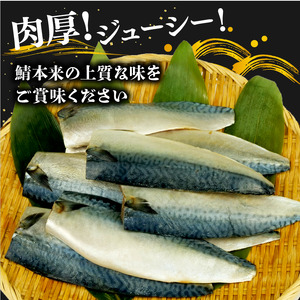 サバ フィレ 国産 塩鯖 15枚約1.8kg 鯖 沼津 さば サバ