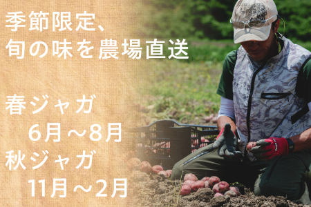 有機ジャガイモ　農薬不使用　有機JAS認証　季節限定（6月，7月，8月発送）旬野菜 2132 オーガニック　無農薬　化学肥料不使用　完熟で収穫するので甘みが豊富　じゃがいも　馬鈴薯　ばれいしょ