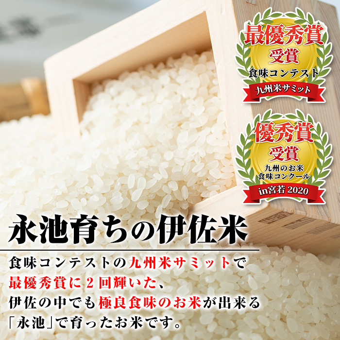 Z7-01 令和6年産 新米 特別栽培米 永池ひのひかり(5kg)鹿児島でも極良食味のお米が出来る永池地区で作ったお米！九州米サミット食味コンテスト最優秀賞2回受賞【エコファーム永池】