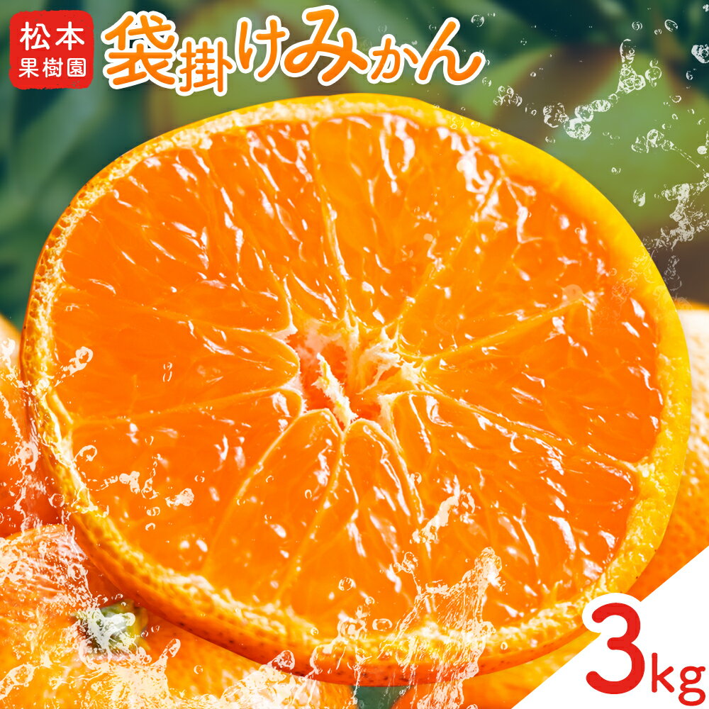 【ふるさと納税】袋掛け みかん 3kg 松本果樹園 《2026年1月中旬-1月末頃出荷》 熊本県 苓北町 スイーツ デザート 果物 ミカン 蜜柑