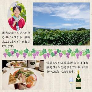 酒 ワイン 白ワイン セット ２本 × 720ml 長野県産