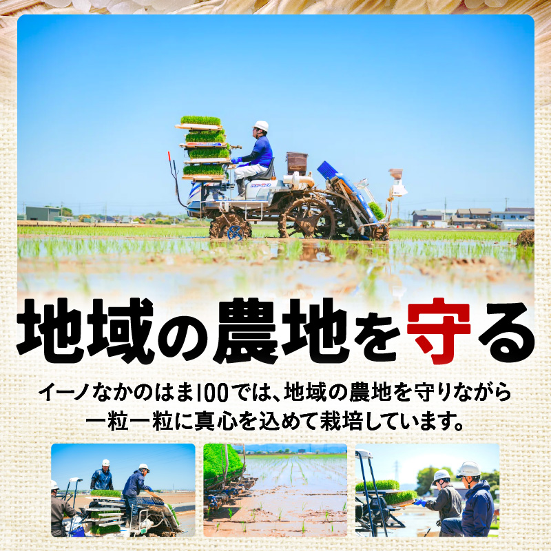 【先行予約】【令和8年産】ハナエチゼン 精米 5kg（農事組合法人イーノなかのはま100） / 北陸 福井県産 あわら市 ブランド米 白米 お米 コメ ※2026年10月より順次発送予定 [aw139-a001]