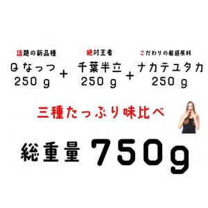 千葉産落花生三種味比べセット(Qなっつ、千葉半立、ナカテユタカ)各250g総重量750g【1360655】