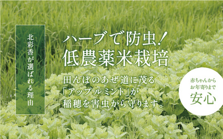 2026年1月発送 令和7年産 ゆめぴりか 玄米 10kg 【北彩香】| 妹背牛産 北海道 米 道産 特A