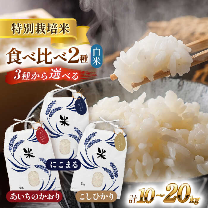 【ふるさと納税】＼選べる品種・内容量／ 白米 2種 食べ比べセット 10kg ～ 20kg 特別栽培米 お米 ご飯 愛知県産 米 精米 愛西市／株式会社TONORI[AECT004]