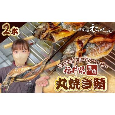 ふるさと納税 越前町 【福井県 名物】丸焼き鯖 二本 職人の焼きで香ばしくジューシー