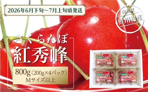 【令和8年産 早期受付】 鮭川村産さくらんぼ ＜紅秀峰＞ フードパック800g（200g×4P）