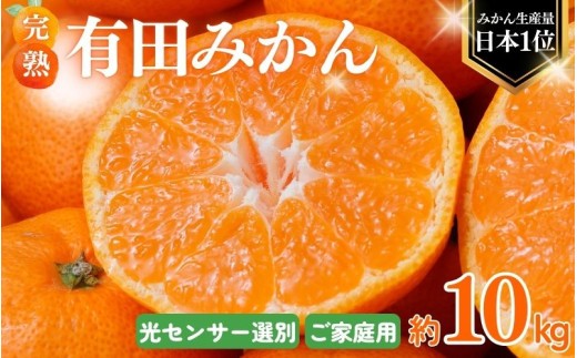 【2026年10月発送予約分】＼光センサー選別／農家直送 こだわりの完熟有田みかん 約10kg＋150g(傷み補償分) 【ご家庭用】 【10月発送】有機質肥料100% 有田みかん みかん ミカン 蜜柑 柑橘 果物 フルーツ 甘い 温州みかん 先行予約【nuk101-10】