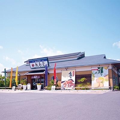 ふるさと納税 瀬戸内市 敷島堂 元祖 マスカットきびだんご 20個入り(2粒×10袋入)[No.5735-0905] |  | 03