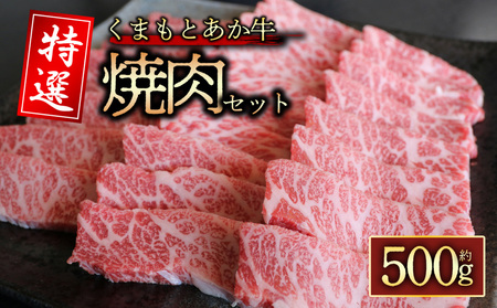 【GI認証】くまもとあか牛　特選焼肉用　500g　阿蘇牧場