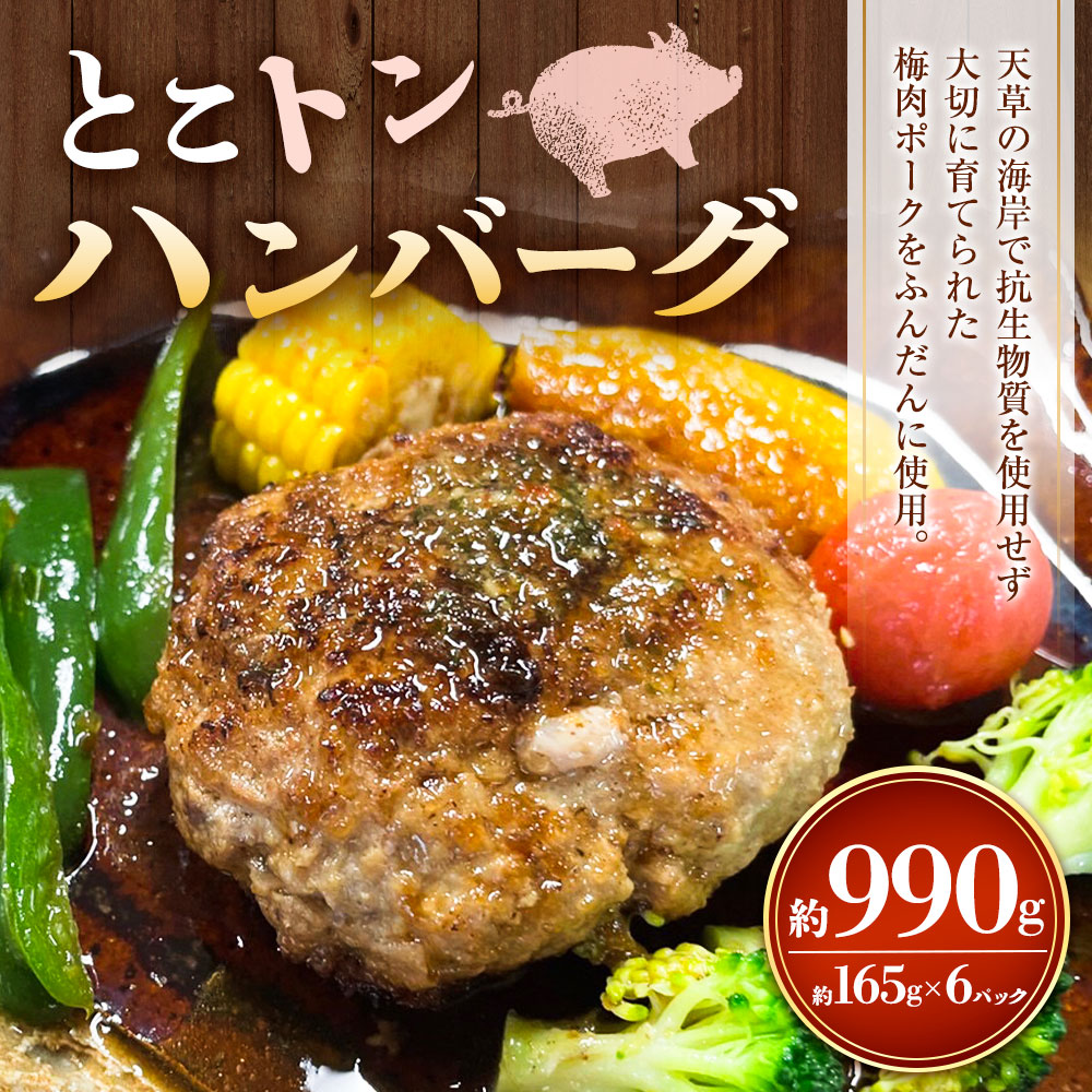 とこトンハンバーグ 165g×6パック 合計990g