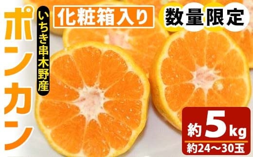 
【先行予約・数量限定！】池之上果樹園の旬のポンカン化粧箱入り約5kg（約24～30玉）【A-974H】
