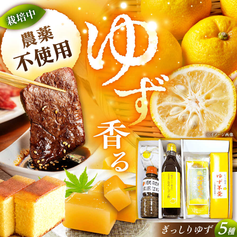 【ふるさと納税】かさぎのゆず ぎっしりゆずセット /ポン酢 ポンズ ぽん酢 ぽんず たれ タレ 焼肉のたれ カステラ 和菓子 お菓子 おかし おやつ デザート スイーツ 柚子 ゆず お取り寄せ /恵那市/かさぎゆず組合[AUAW002]