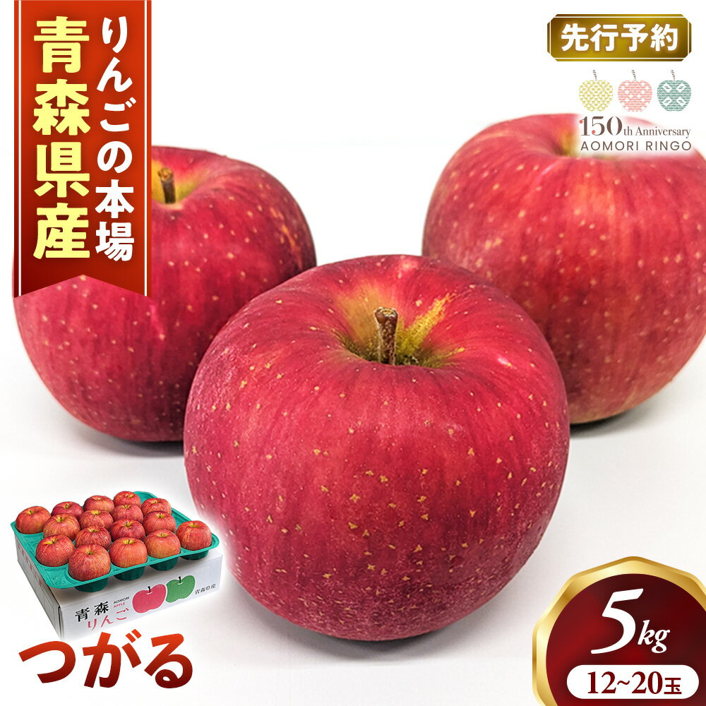 【ふるさと納税】【2026年産・先行予約】りんご【つがる】約5kg（12〜20玉）★2026年9月上旬〜9月下旬頃まで発送予定★りんご 林檎 リンゴ つがる 国産 フルーツ 果物 贈答 土産 青森県 三戸町 H2848