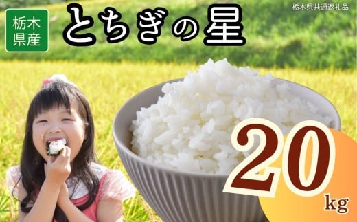 栃木県産とちぎの星 20kg | 2025年 2025年米 令和7年米 秋 白米 ごはん ご飯 小分け 人気 おいしい 旨い おにぎり おむすび お弁当 限定 栃木県共通返礼品 栃木県 下野市 送料無料