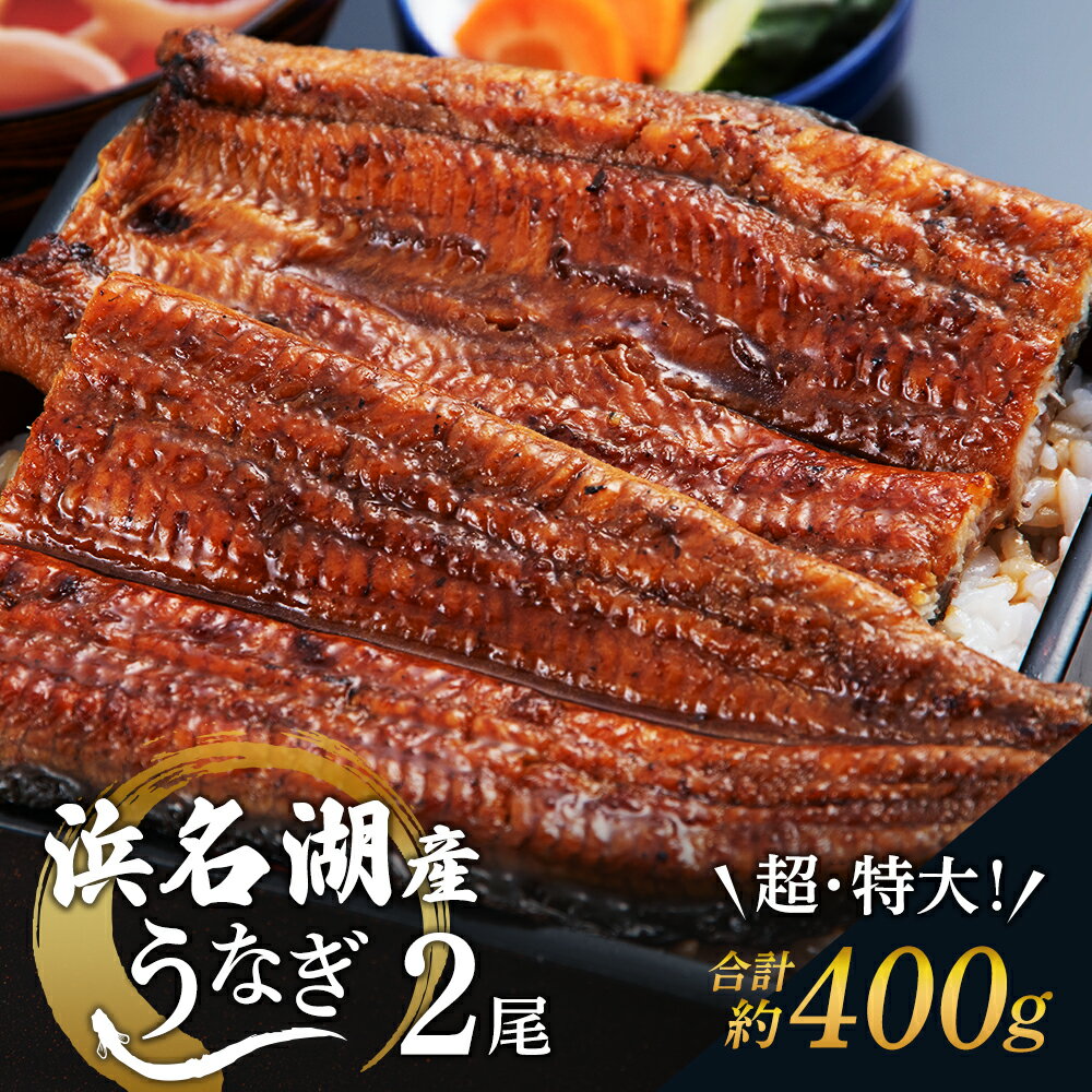 【ふるさと納税】国産うなぎ 浜名湖産 蒲焼き 2尾 (200g以上×2本入) 山椒 たれ セット 詰め合わせ 海老仙 国産ウナギ 国産 うなぎ ウナギ 鰻 うなぎの蒲焼 鰻の蒲焼き 小分け おすすめ 贈答用 ギフト 冷凍 静岡 静岡県 浜松市　お届け：10日～1か月