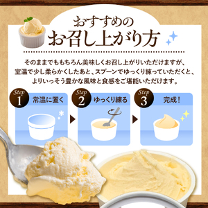 牛で選べるアイスクリーム 80ml×12個《牛3頭セット、品種2～3種》【石原牧場】　（北海道 豊富町）