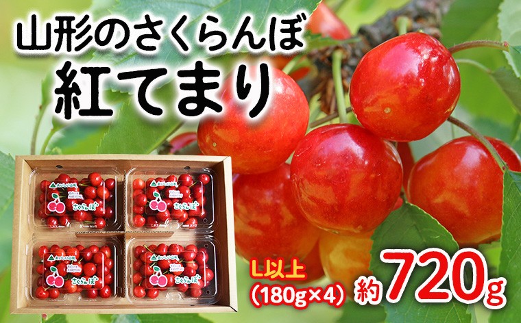 
                  山形のさくらんぼ 紅てまり Lサイズ以上 720g(180g×4) 【令和9年産先行予約】FS25-524 くだもの 果物 フルーツ 山形 山形県 山形市 2026年産
                