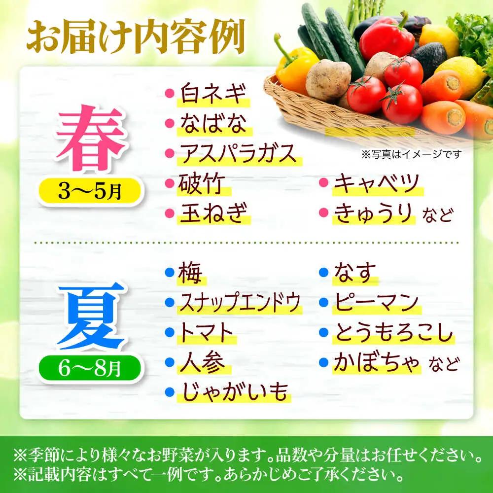 【全3回定期便】厳選！農夫の野菜詰め合わせセット[APBA015] 野菜