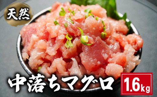 天然 中落ちマグロ  約1.6kg 160×10パック ビンチョウマグロ メバチマグロ キハダマグロ まぐろ 鮪 刺身 赤身 肉 鉢マグロ ビンチョウ キハダ 中落ち 希少 ネギトロ マグロ漬け 海鮮丼 丼 寿司 鉄火丼 手巻き寿司 魚 海鮮 魚介 おつまみ おかず 冷凍 小分け 個包装 お取り寄せ 国産 千葉県 銚子市 和田水産